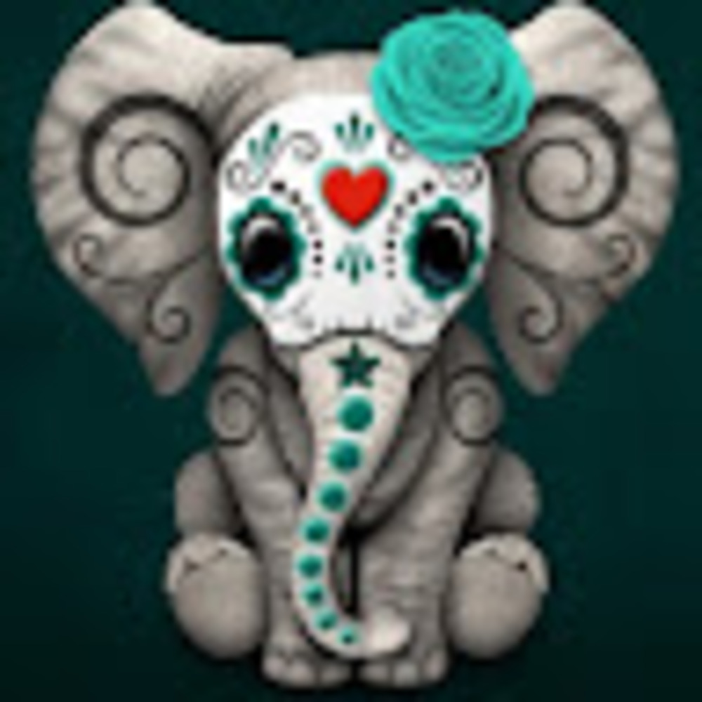 Meet your Posher, Angela